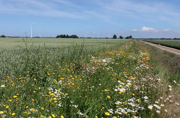 Natuurmonumenten