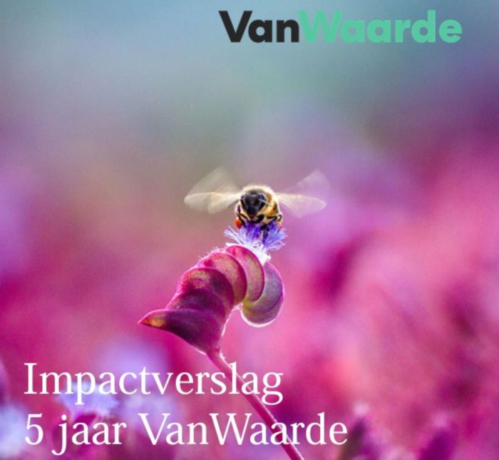 Impactverslag Impactverslag