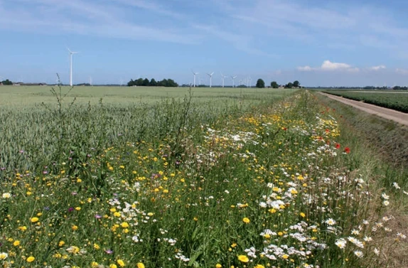Ontwikkeling landbouwstrategie met belang voor natuur