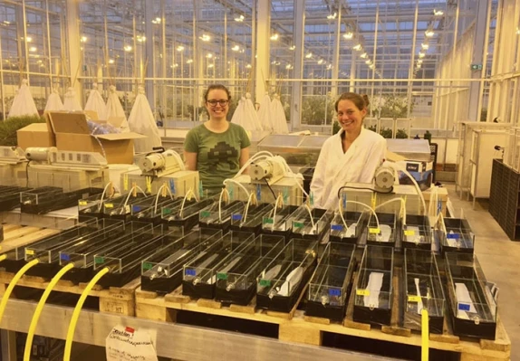 Innovatie in de watersector: van zuiveren naar oogsten