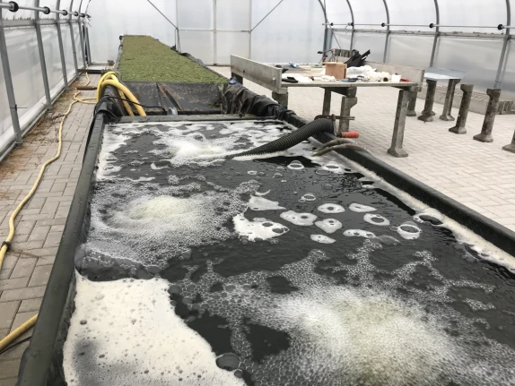 Innovatie in de watersector: van zuiveren naar oogsten