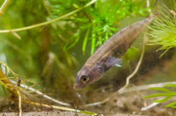 Ketenaanpak Medicijnresten uit Water