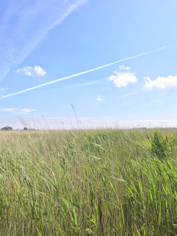 Toekomstperspectief: balans tussen natuurontwikkeling en recreatie gebruik
