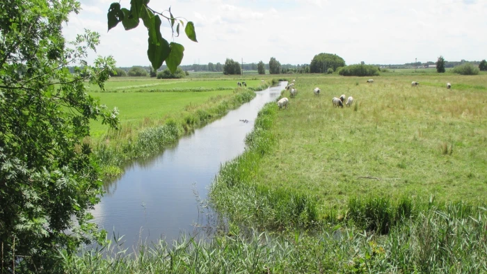 Stikstofproblematiek vraagt om maatwerk en samenwerking