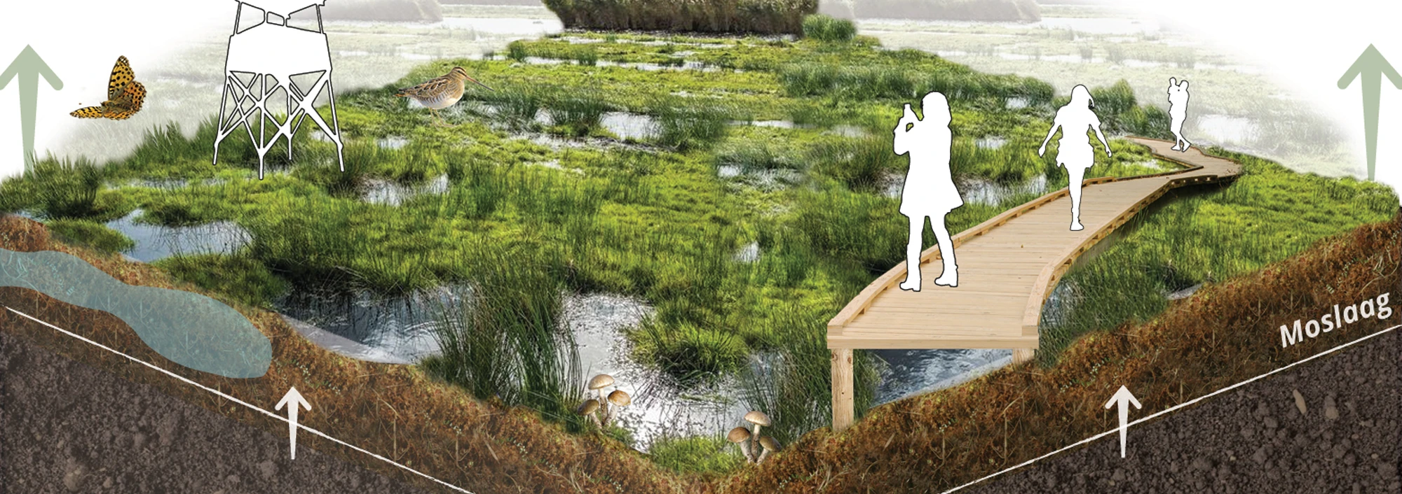 Toekomstperspectief: balans tussen natuurontwikkeling en recreatie gebruik