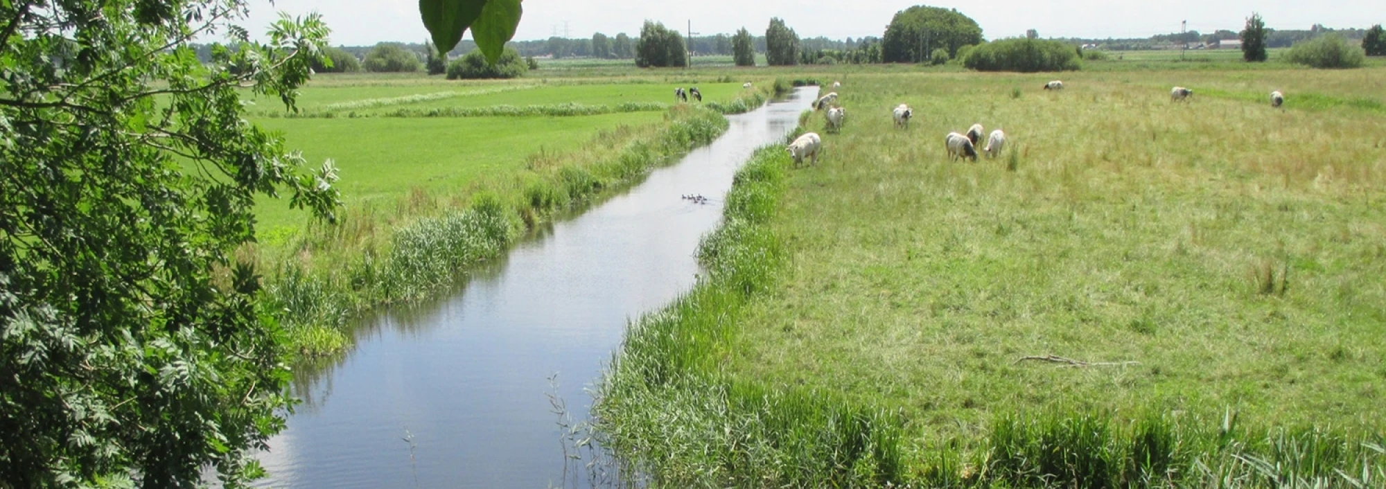Stikstofproblematiek vraagt om maatwerk en samenwerking