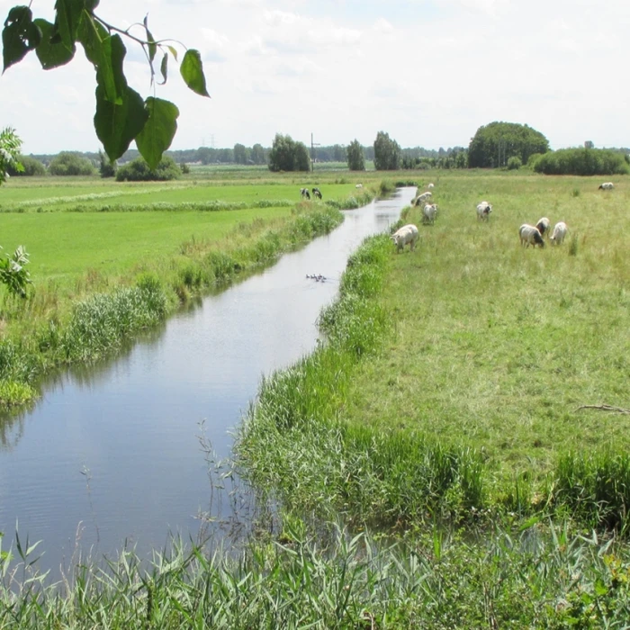 Stikstofproblematiek vraagt om maatwerk en samenwerking